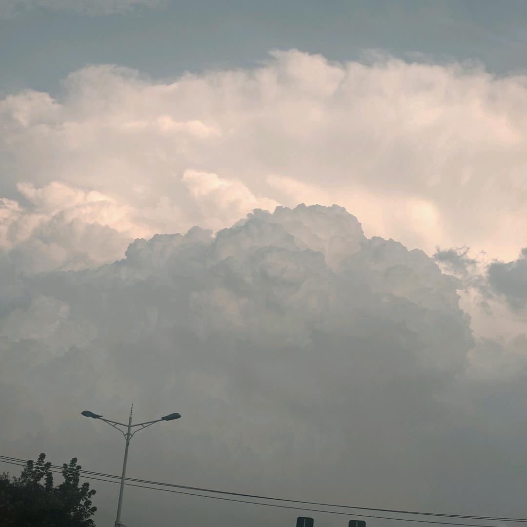 无畏风雨，励志前行