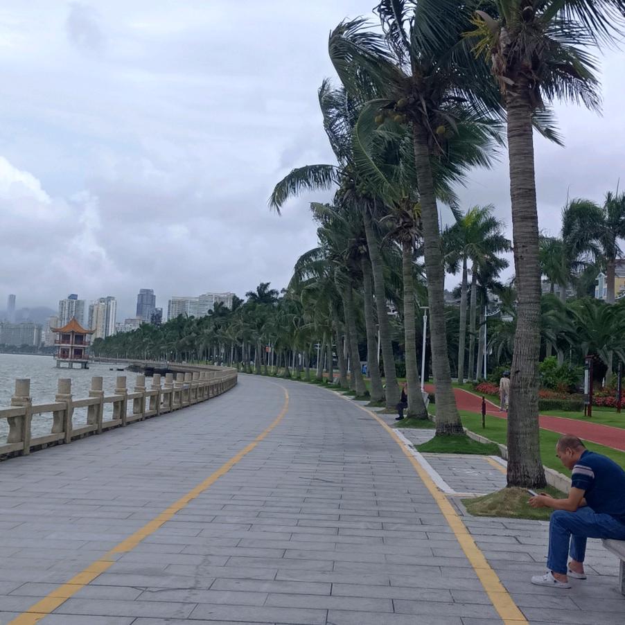 是她