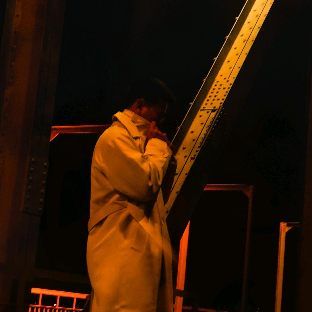 书生锦李