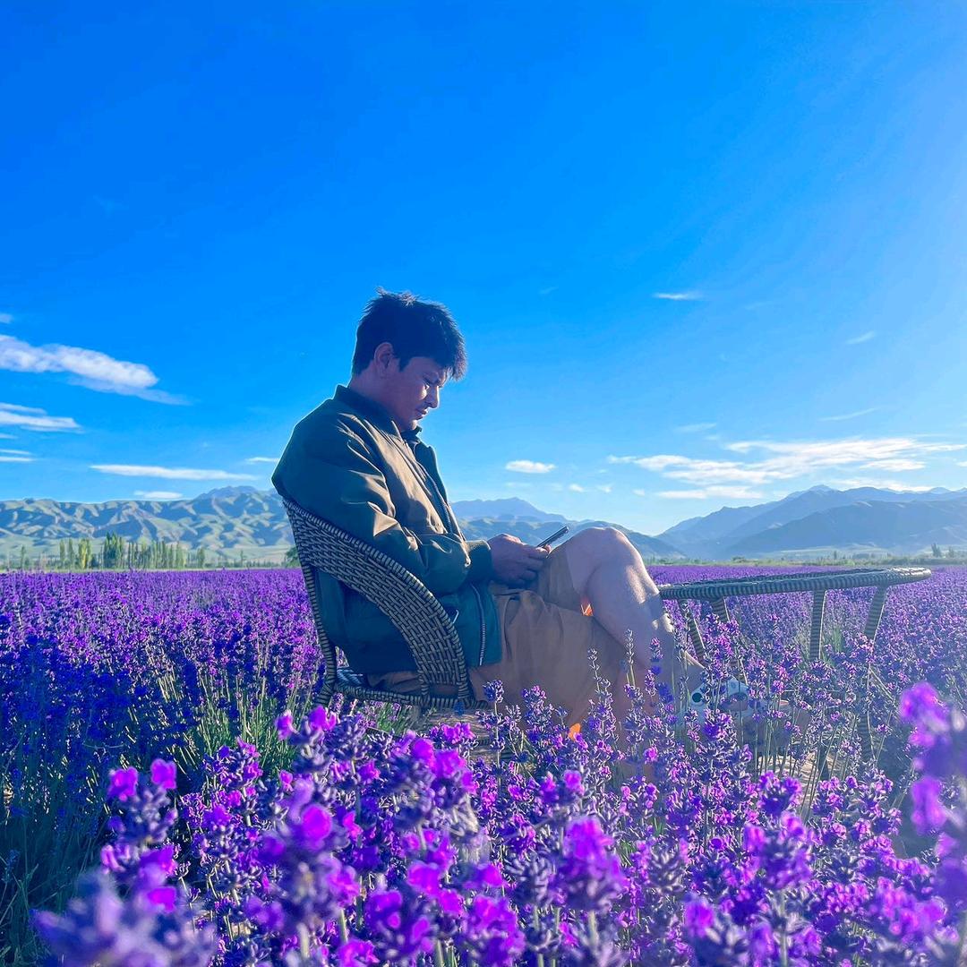 薰衣草苗木种子