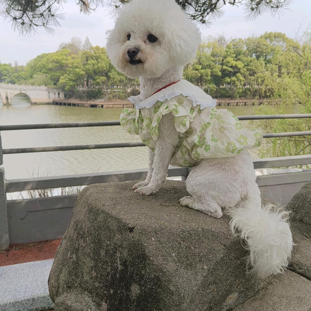 习惯成自然