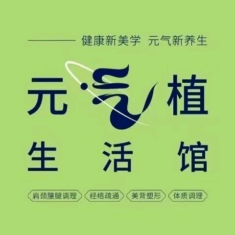 昭通元气植
