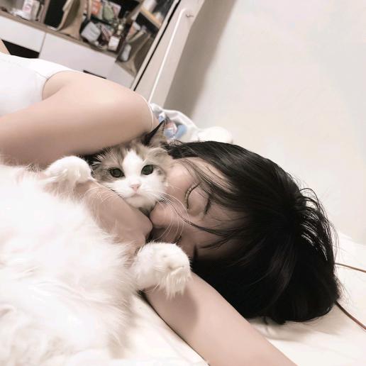 卡卡西里