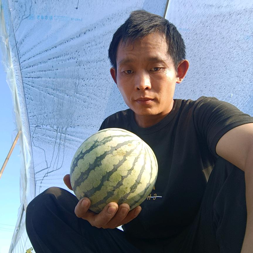 林州市的果蔬达人