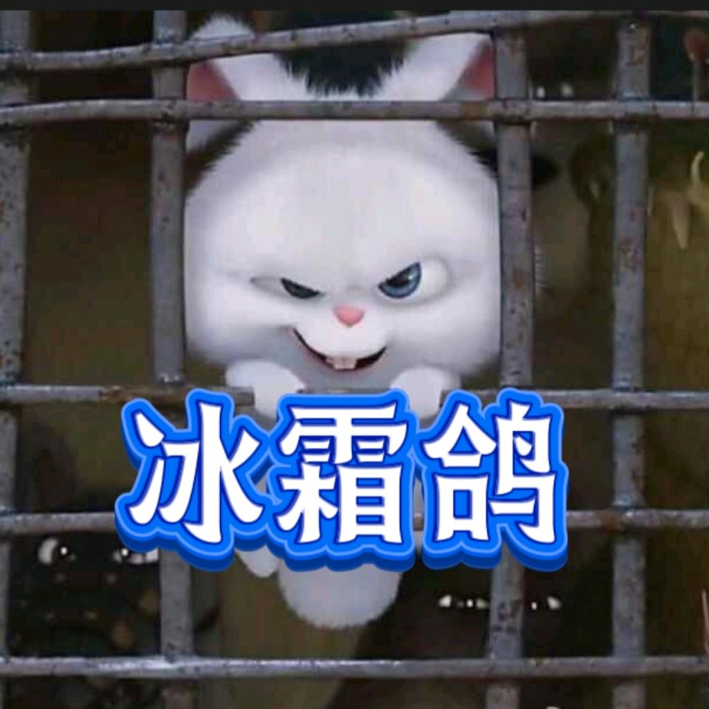 冰霜鸽🕊️(晴书全国游视频分享)