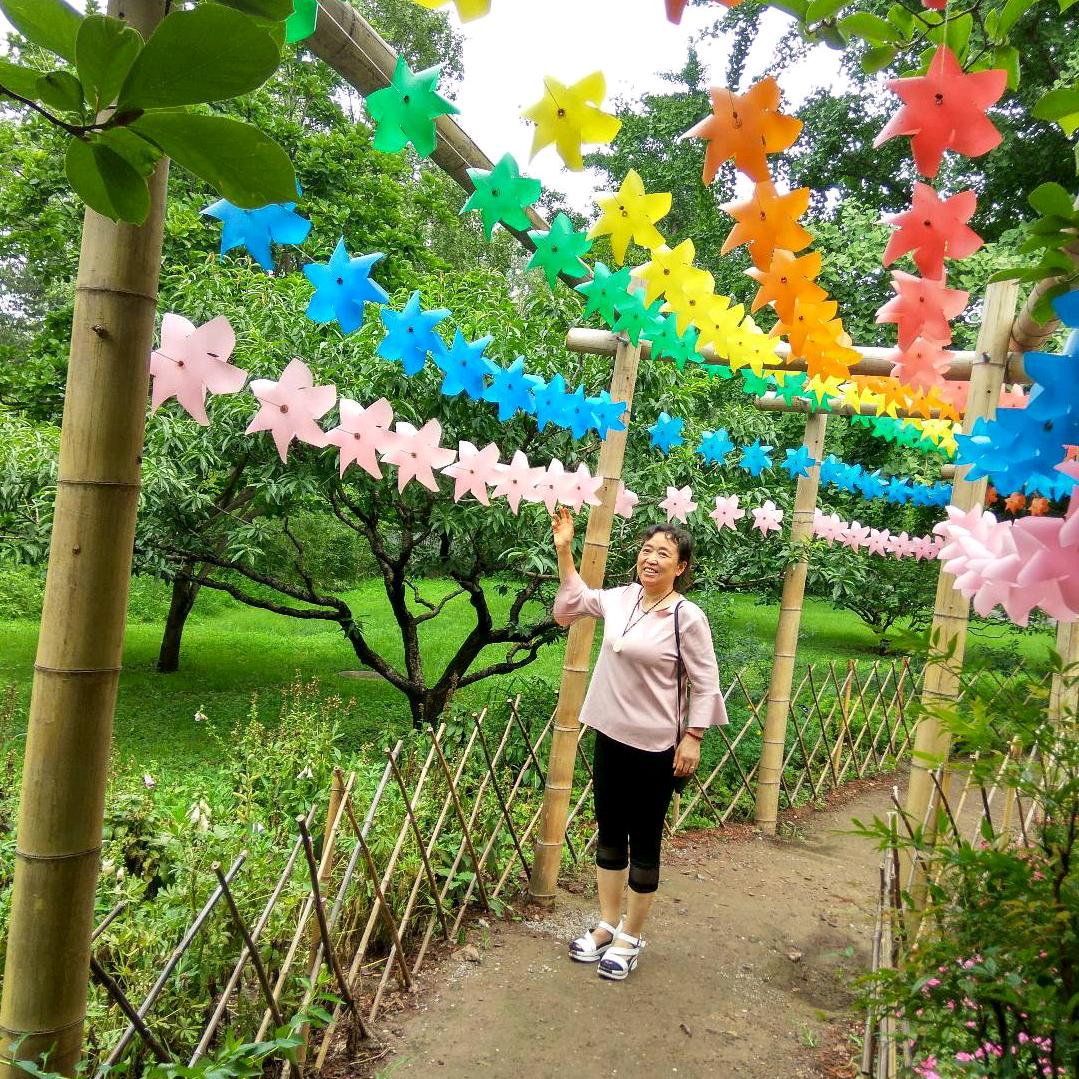 宝鸡曹姐带你做家政