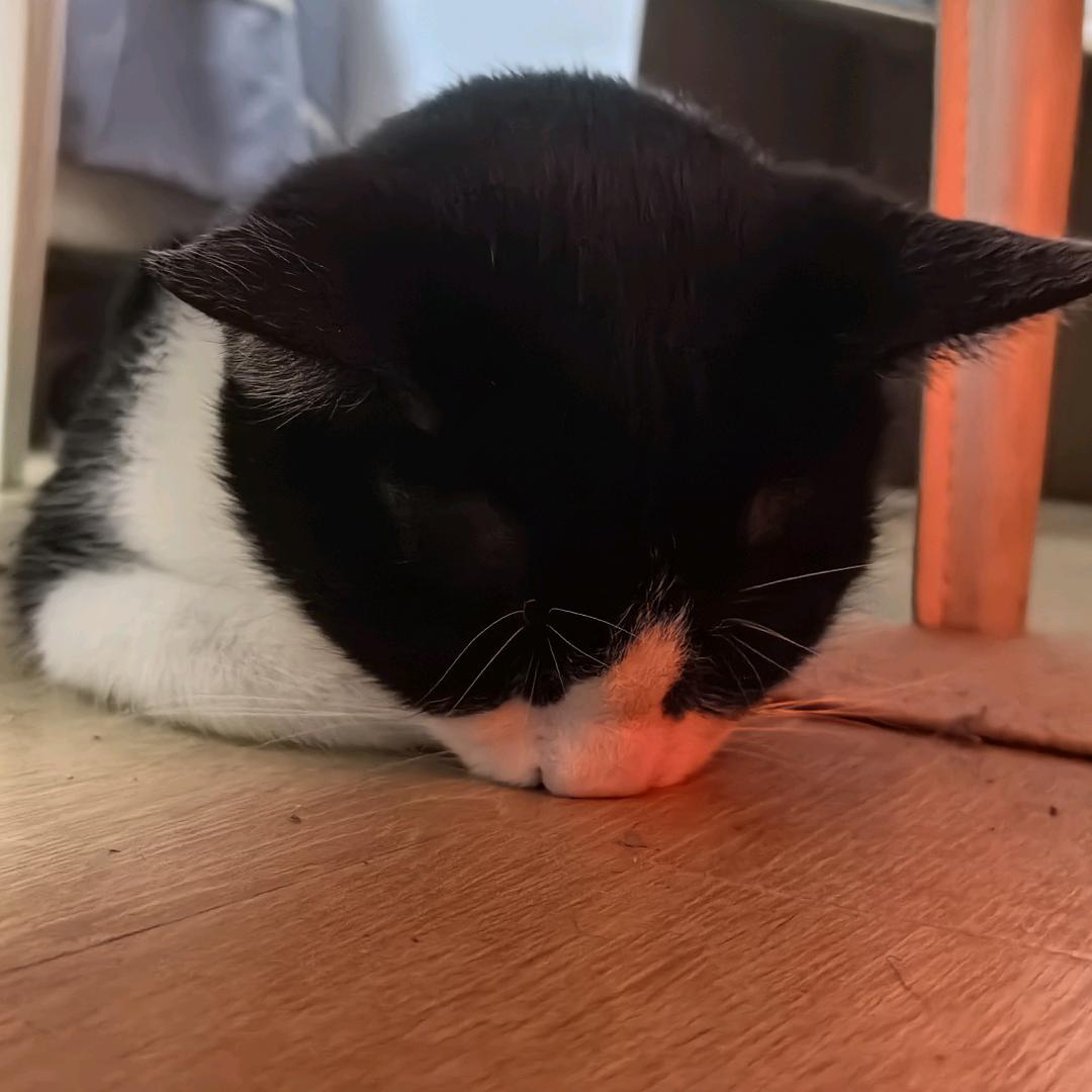 沙锅