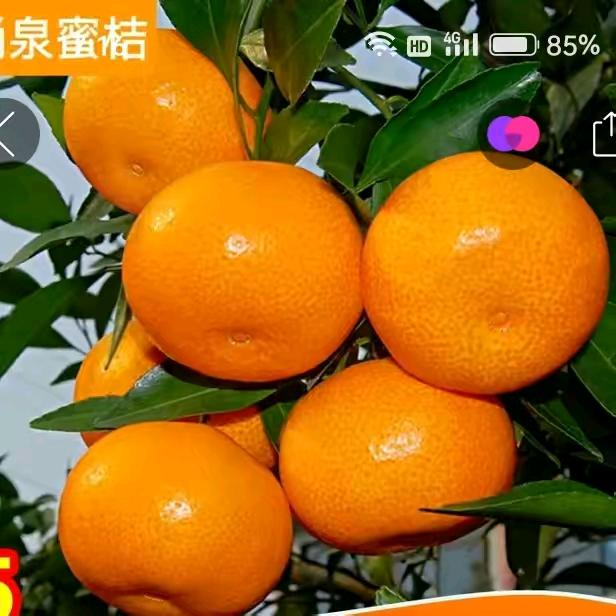 张烨