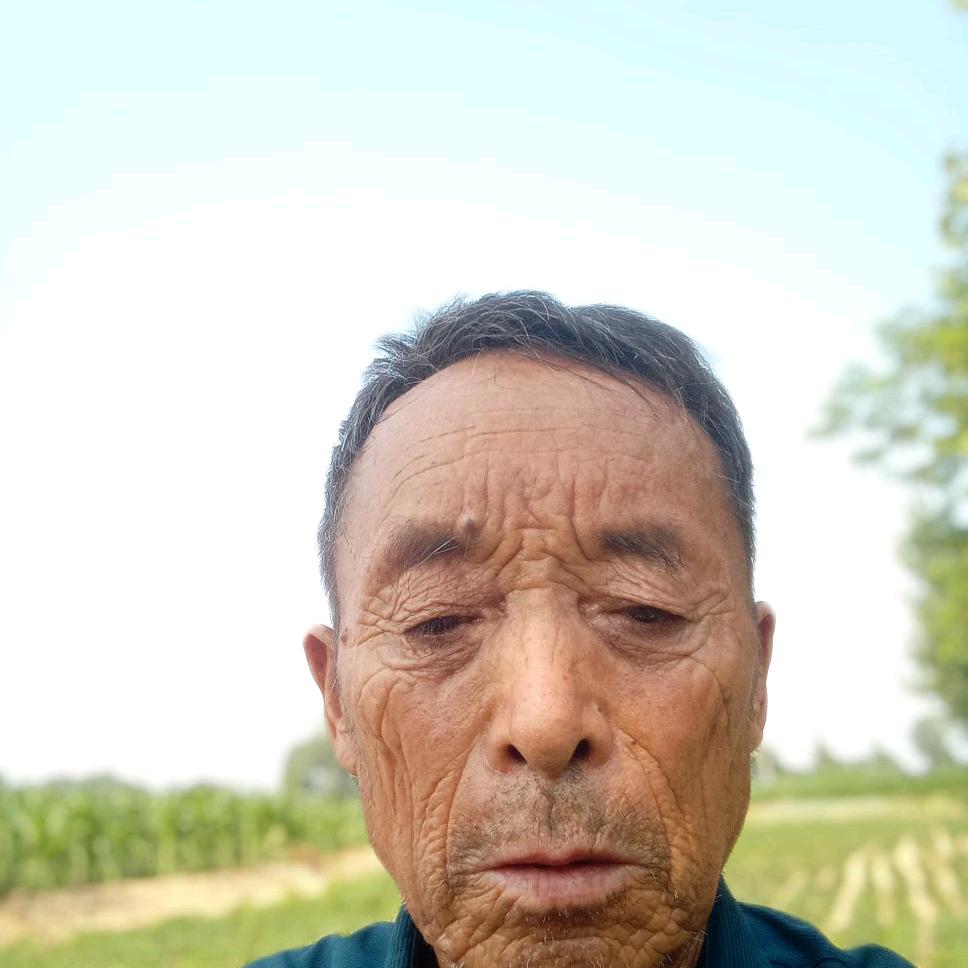 杜兴德