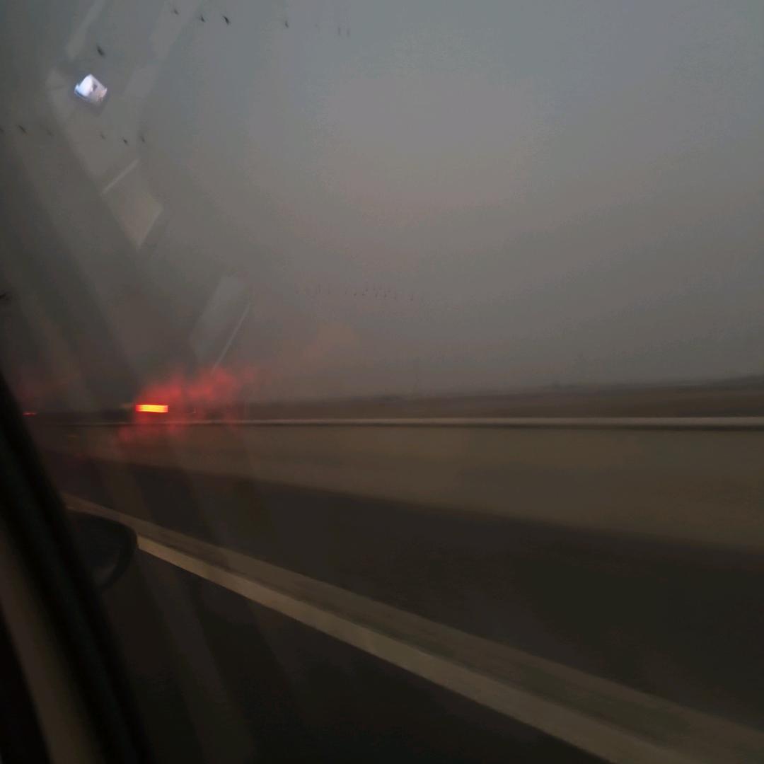 向向呀