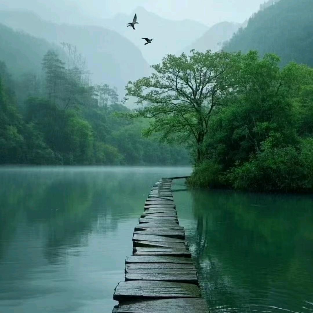 李summer