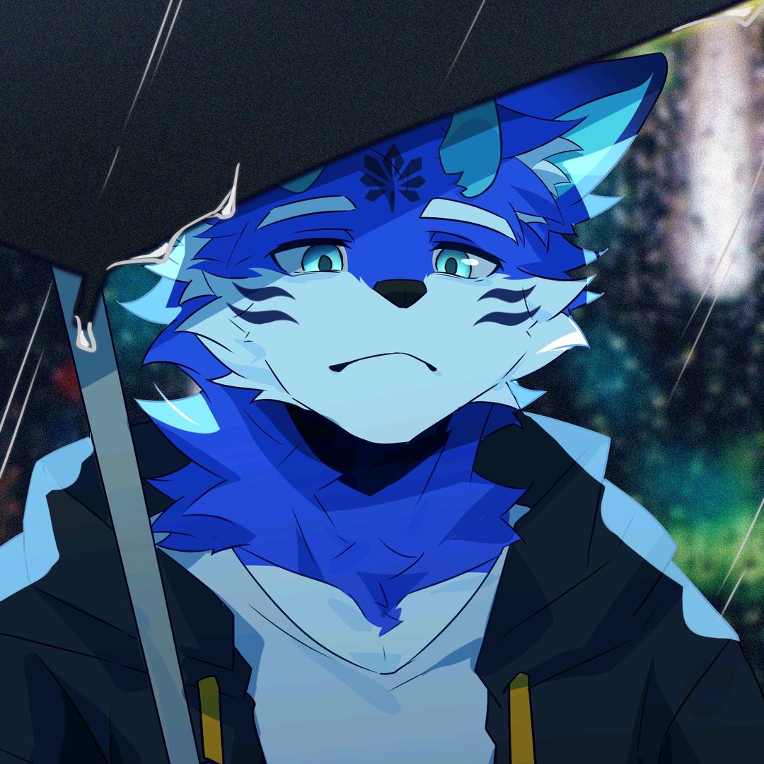 🐾一只狼曦呀~🐾