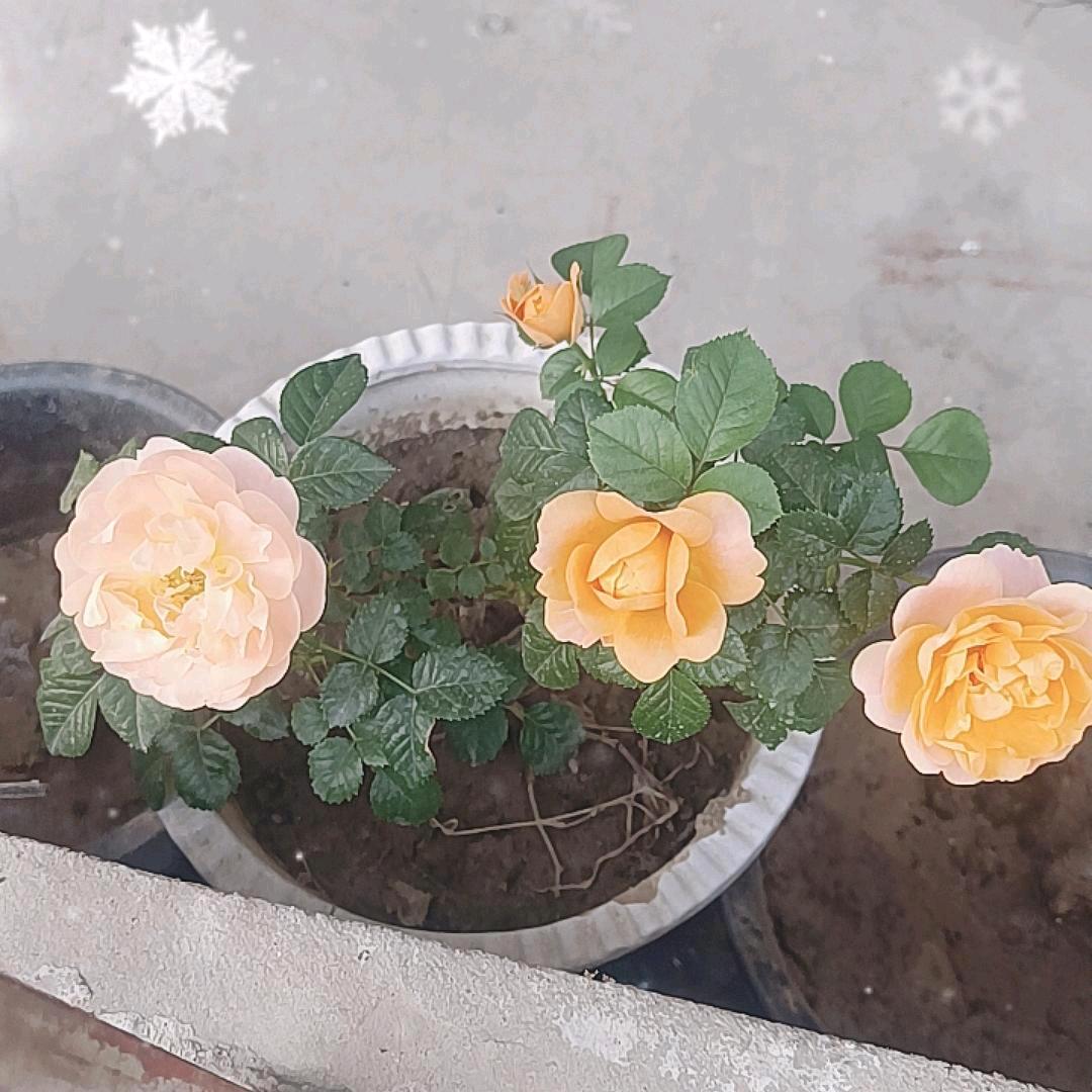 兜兜转转，从头开始，