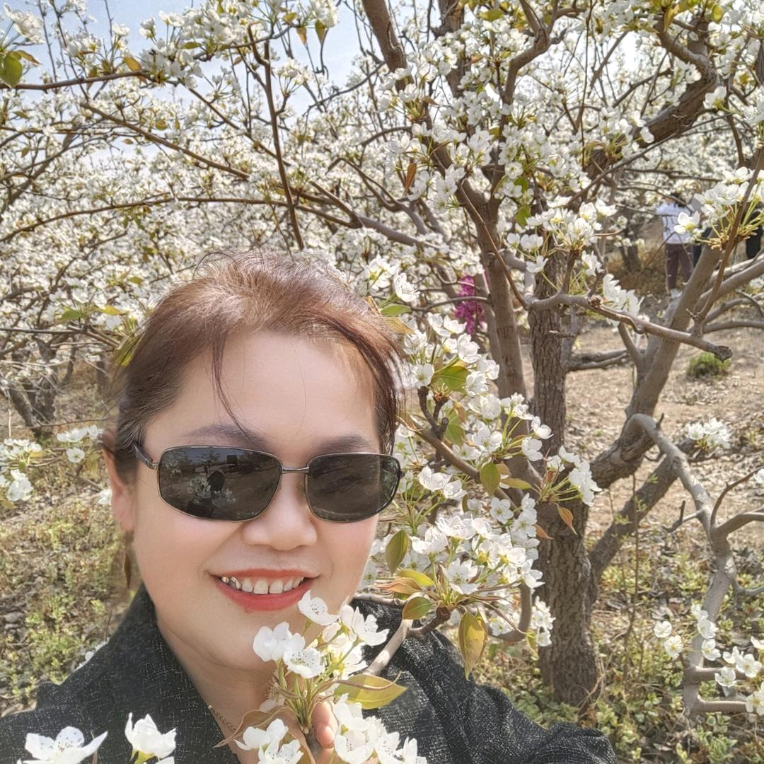 罗麦科技，东方熏道。