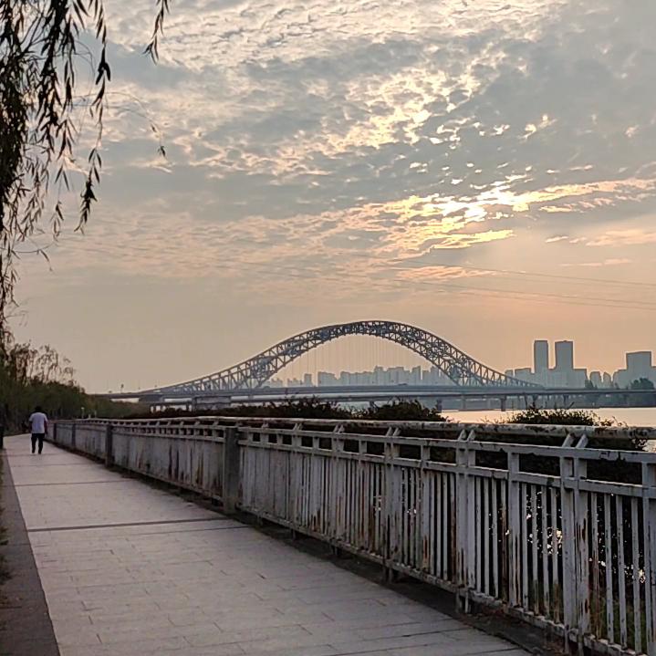 花花世界