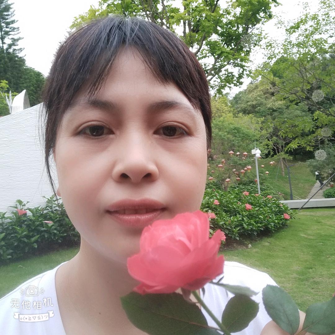 盘子优选