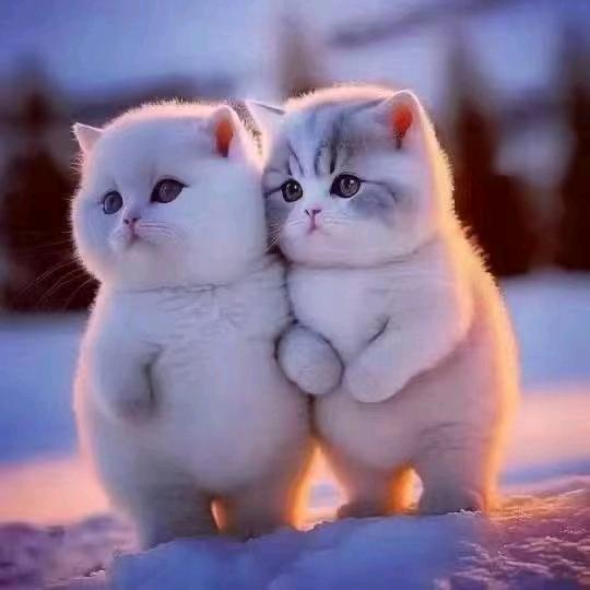 憨憨…奋斗未来