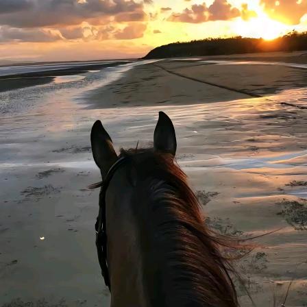 a湖南铁道唐老师（校园经济创业版）