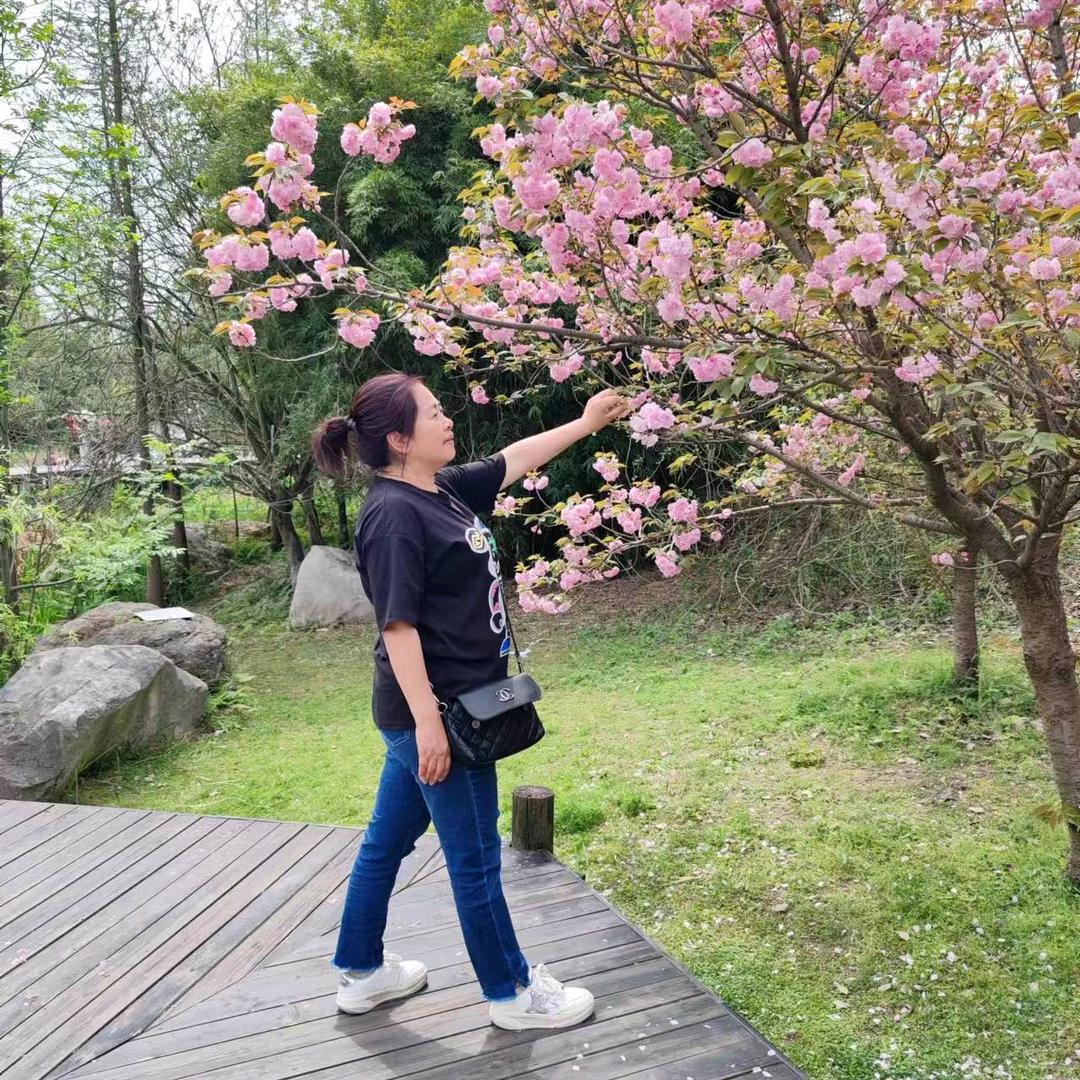 四姑娘
