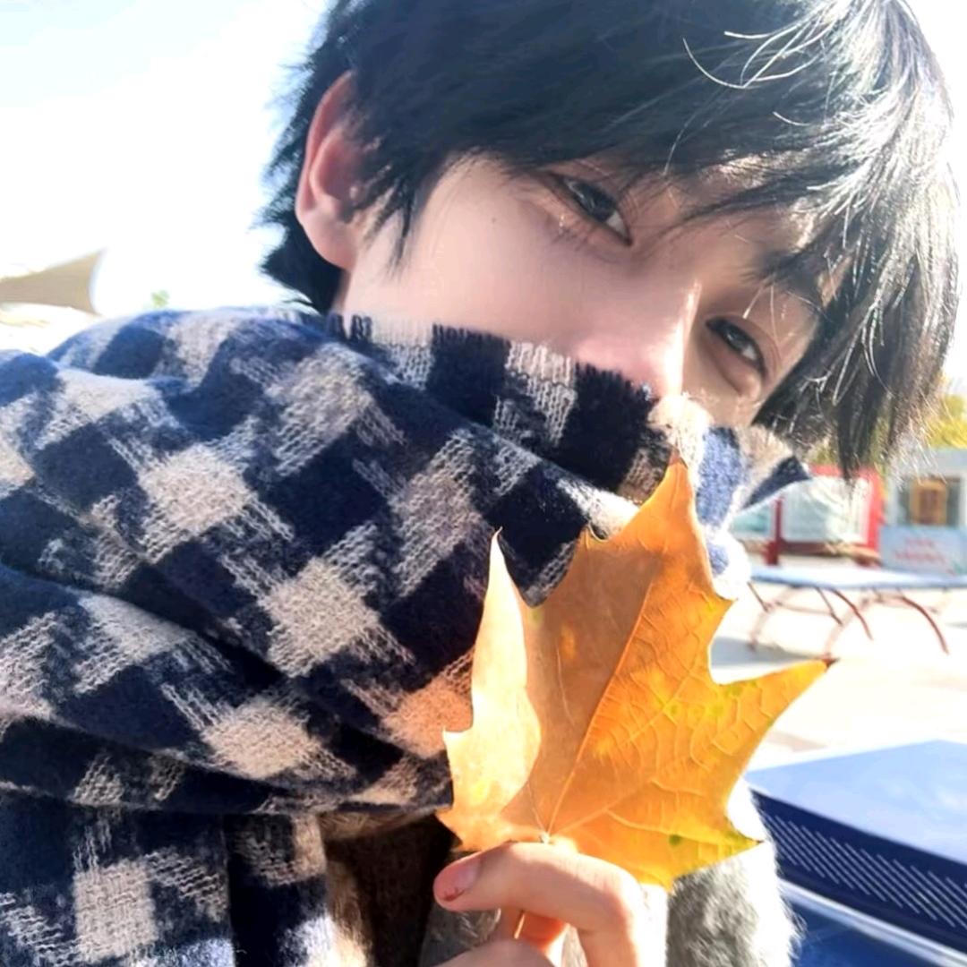 听.ILYF