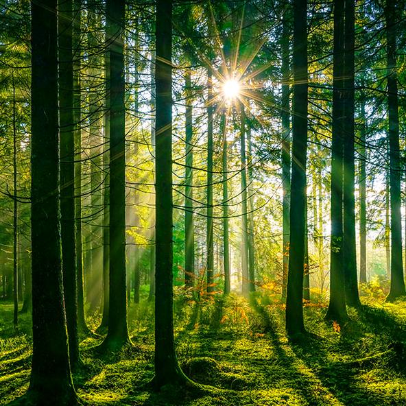 響遏🚴‍♂️行雲