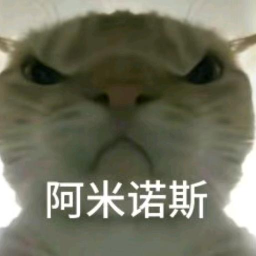 马云表弟