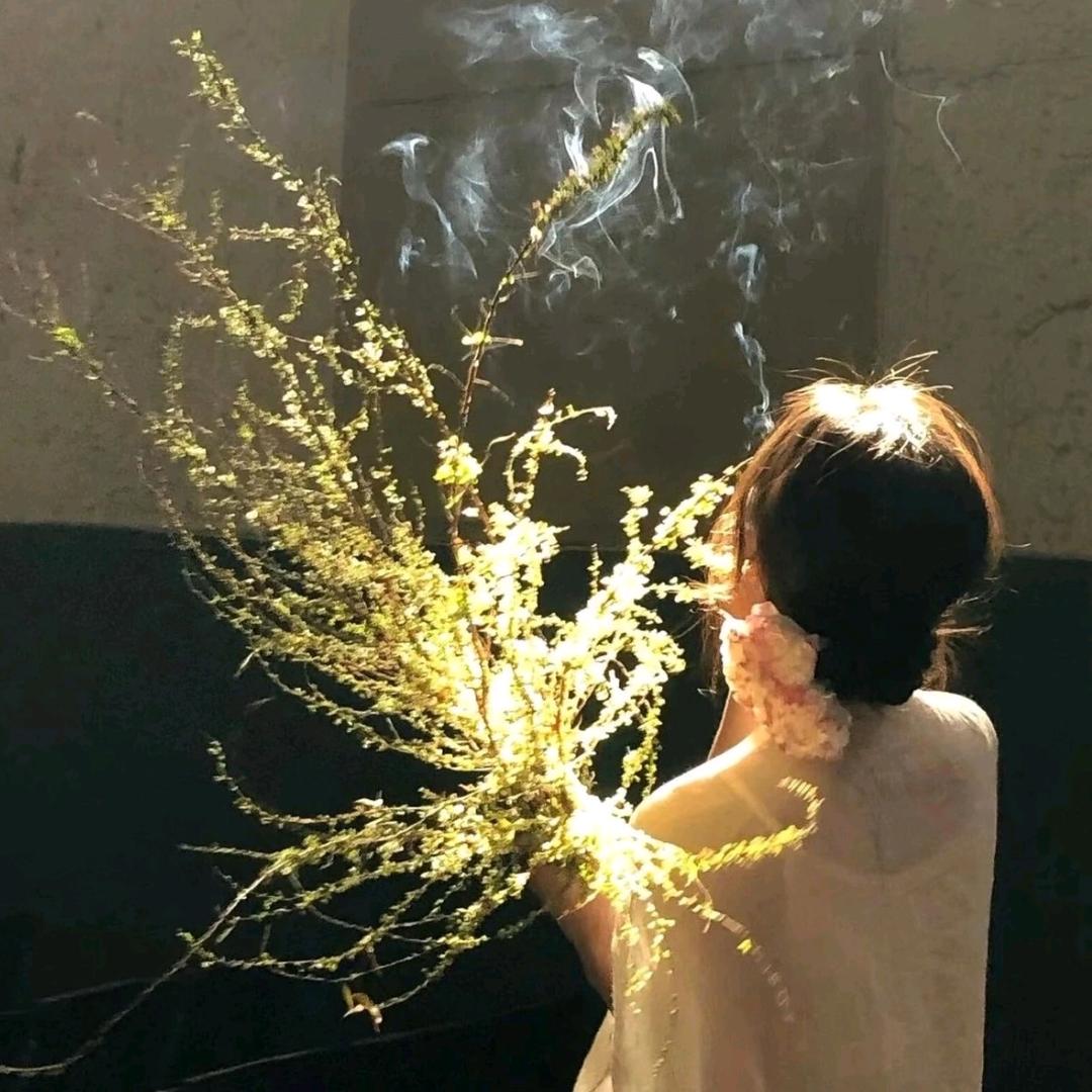 雪儿❄️