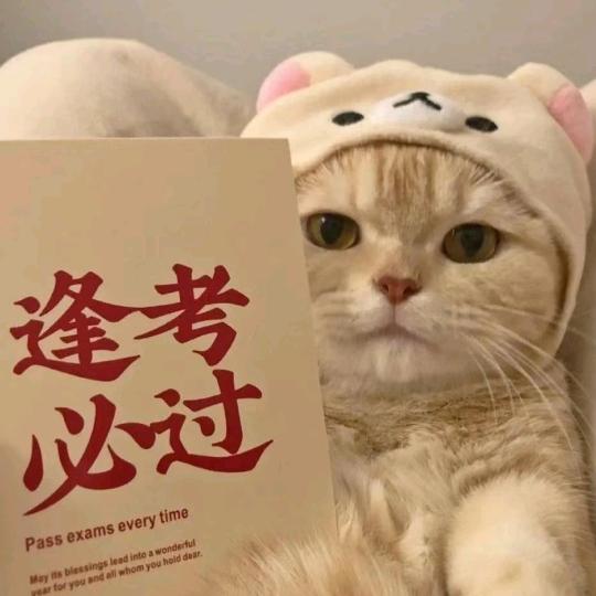 佳木斯仕家-小鱼老师