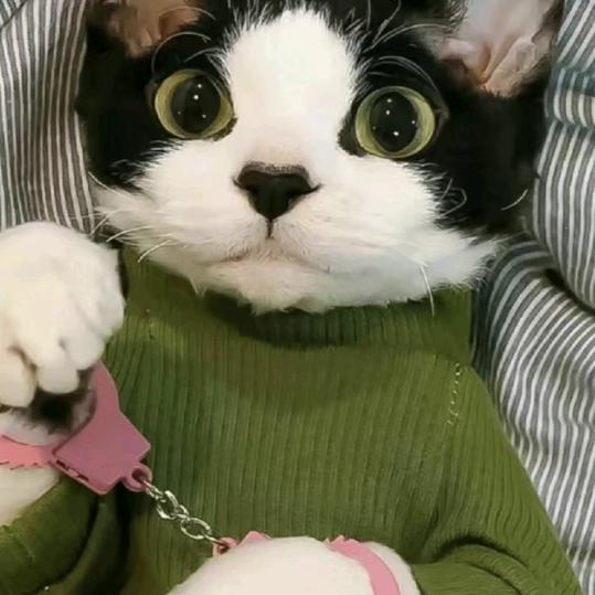 奶糖