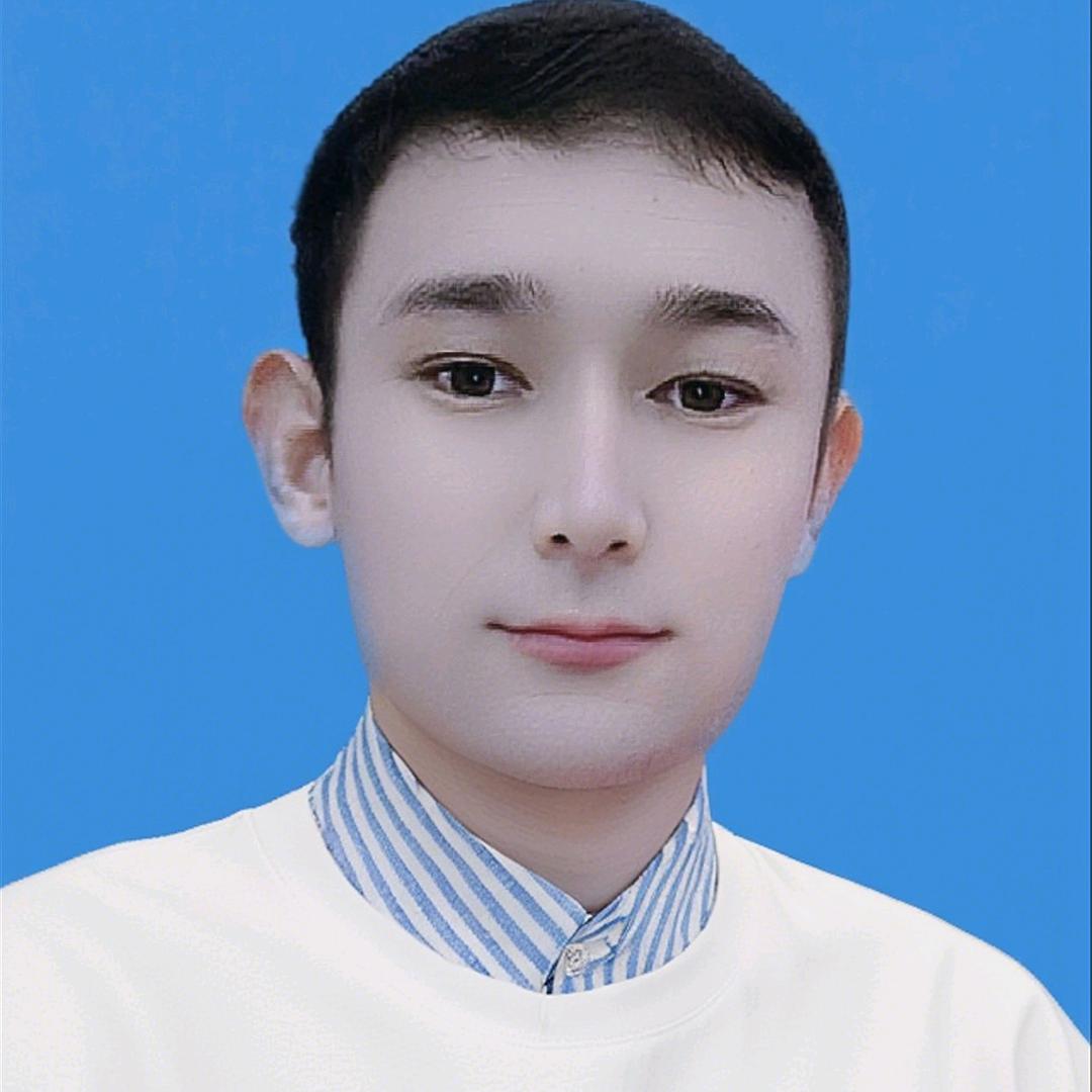 图力帕尔