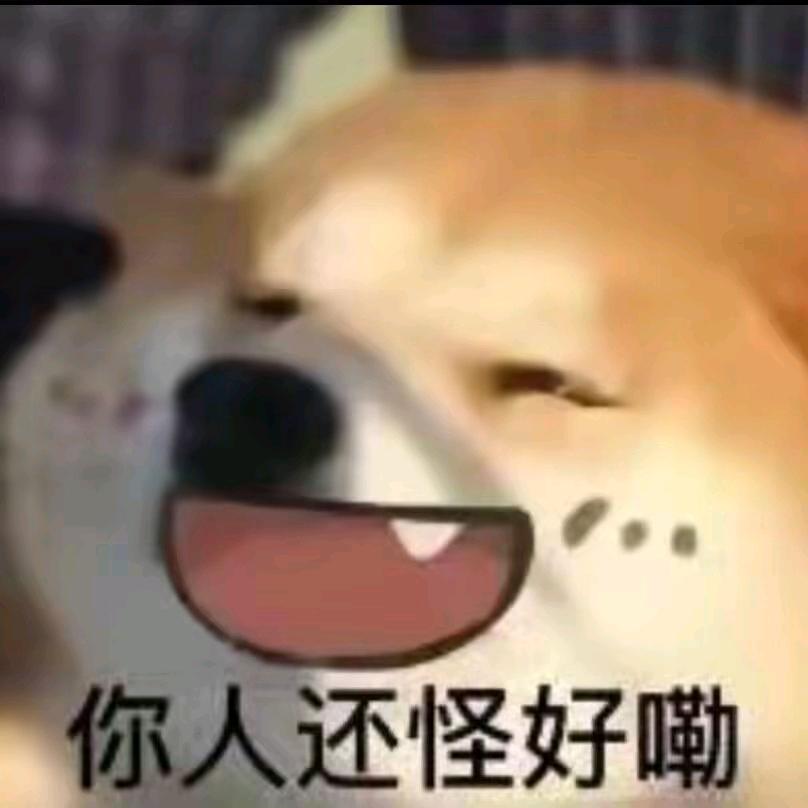 小龙追梦日记头像