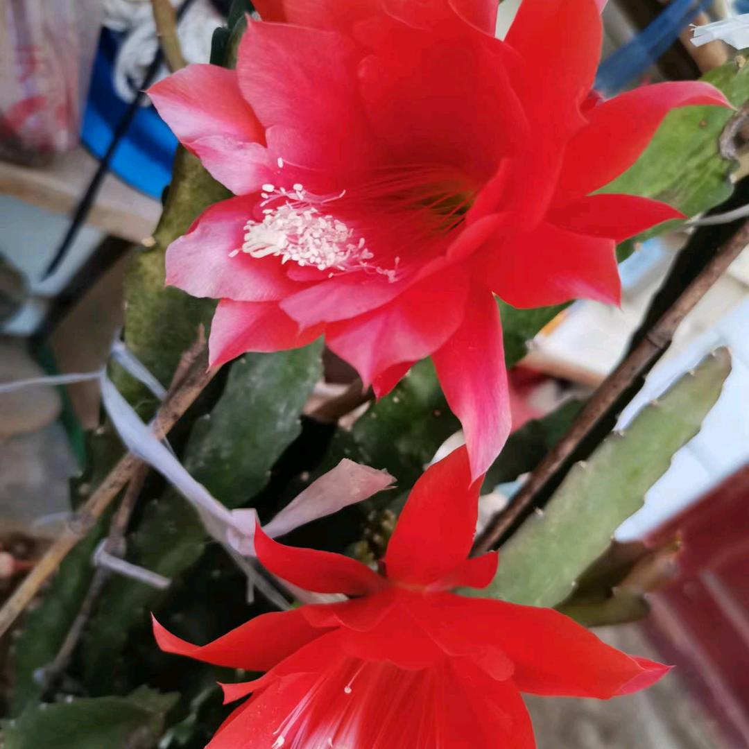冬天