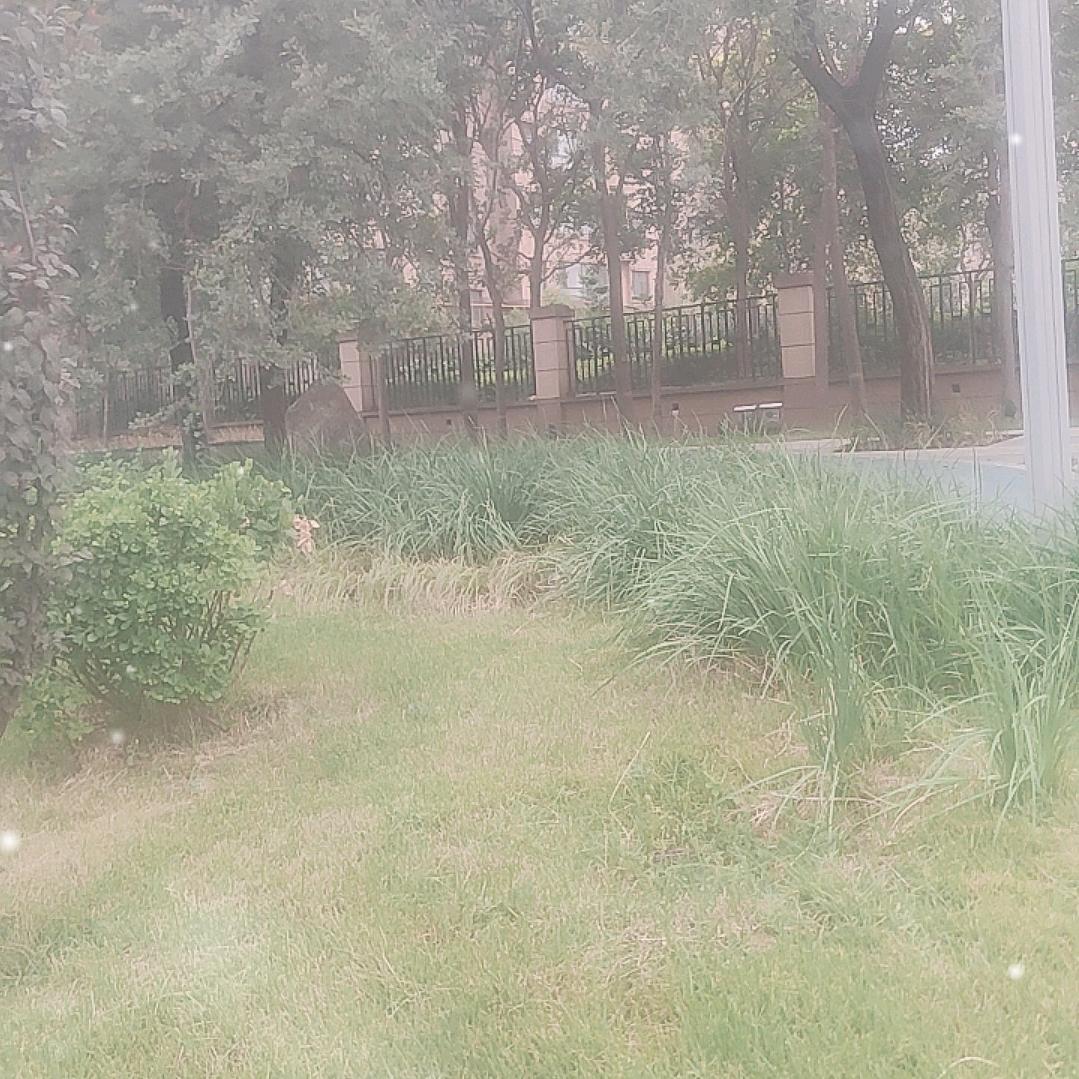 睿合徐老师
