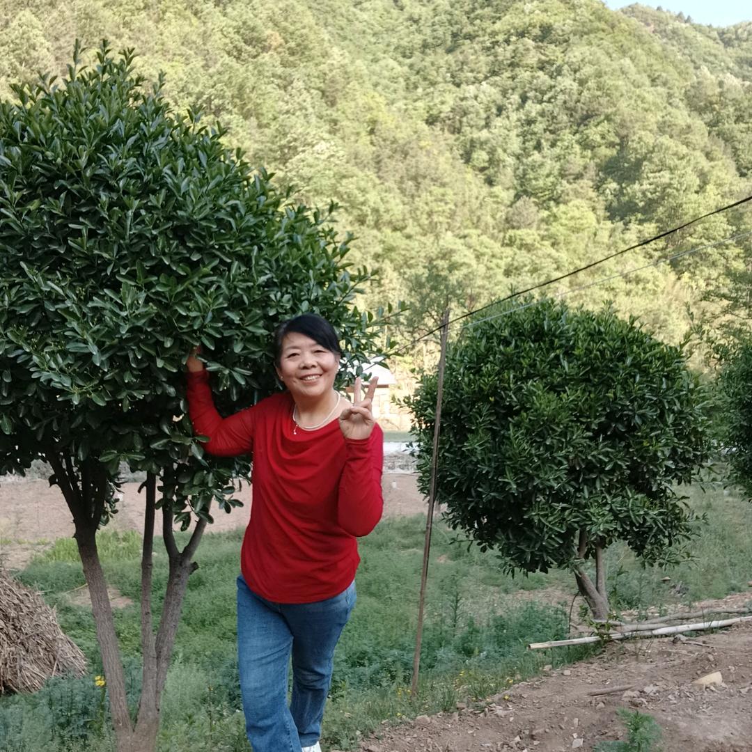 冰姐首播【17.58】