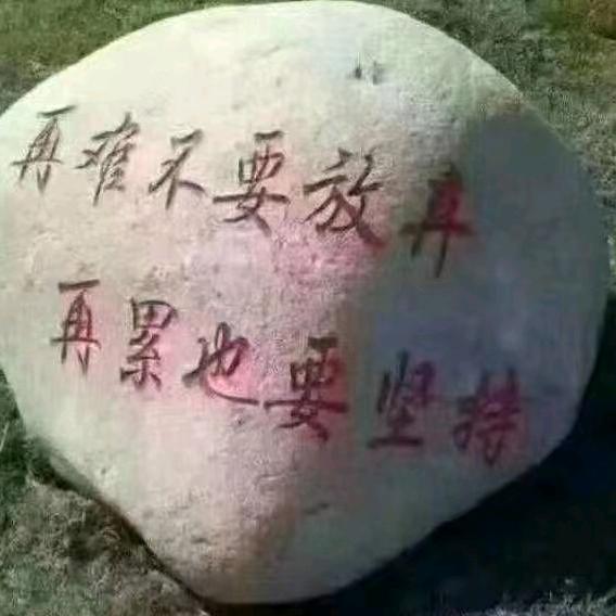 面筋哥