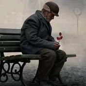 ㅤㅤㅤㅤㅤㅤㅤ🐯