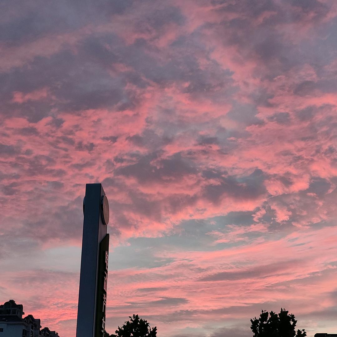 奋斗🌹🌹🌹🌹