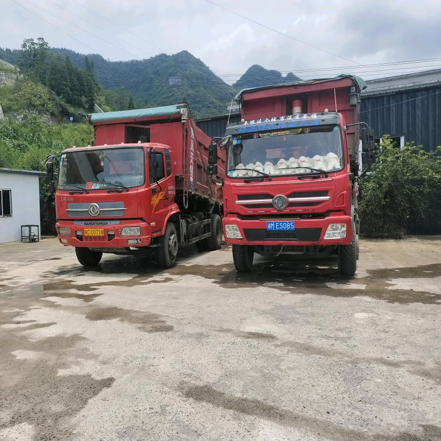 贵G小余阳“低谷期”