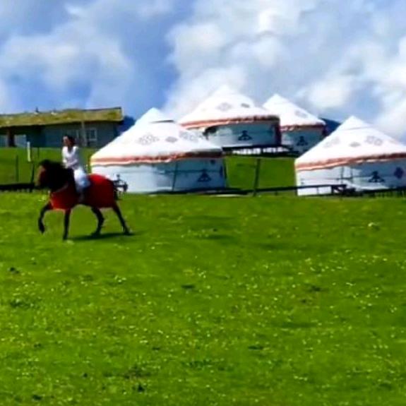 笑看醉红尘🇨🇳