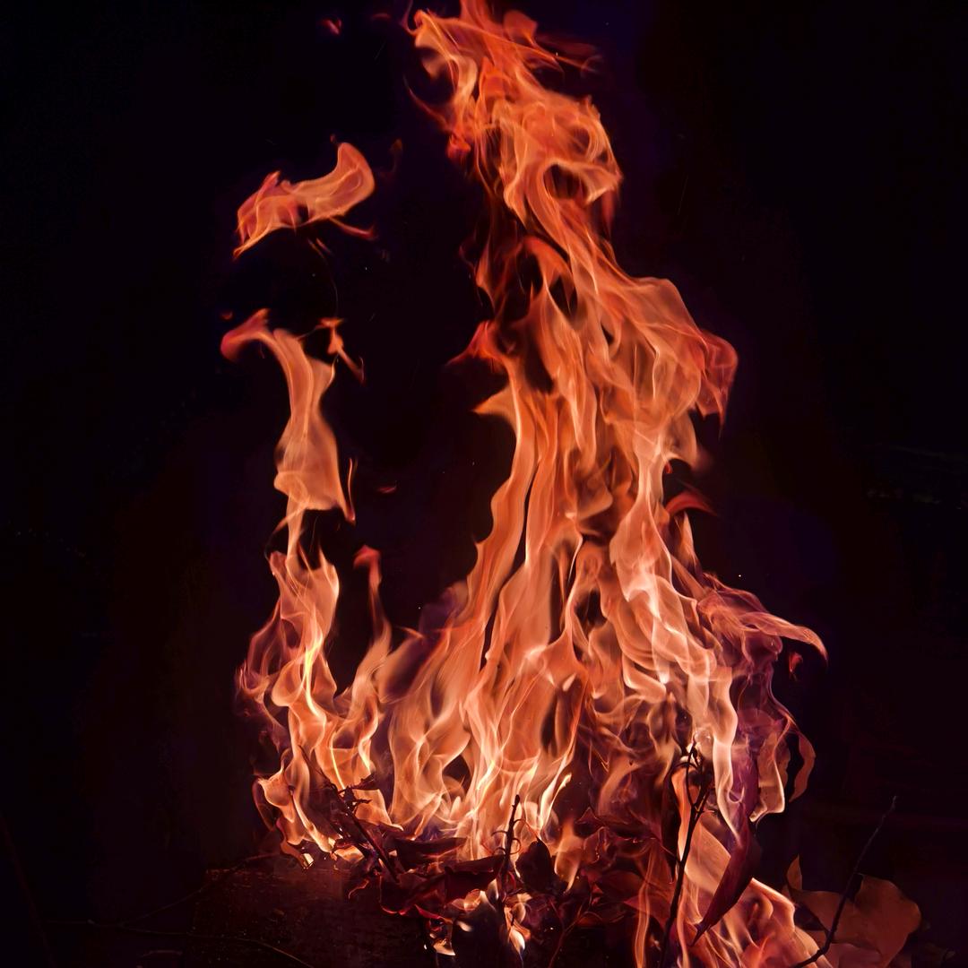 の/青山轩/小威