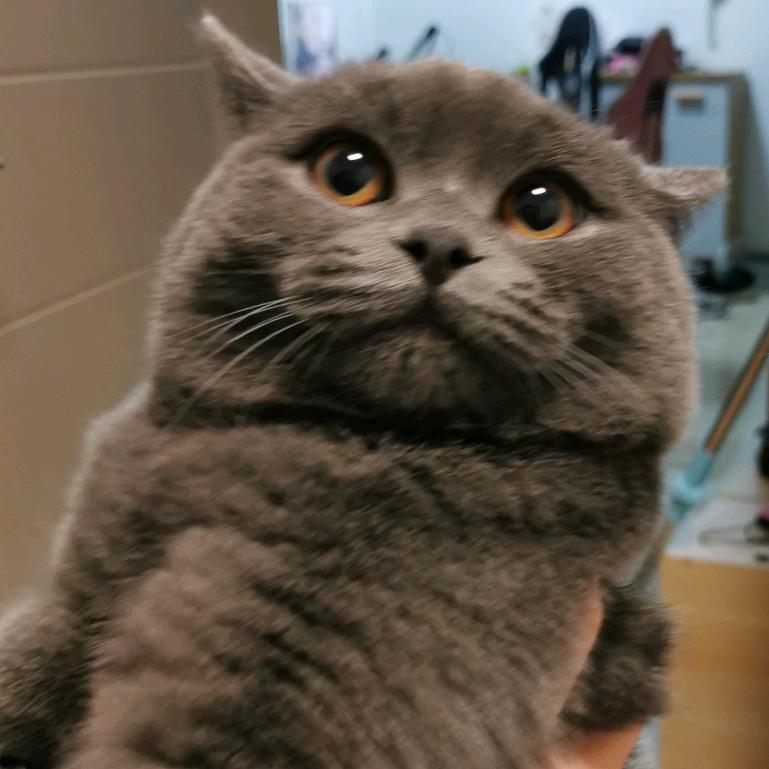 三更漫馆