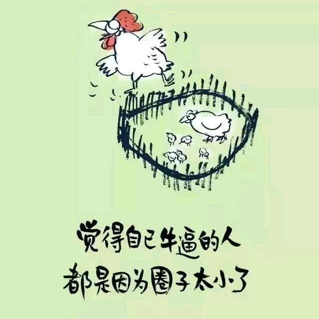 欣辰传媒