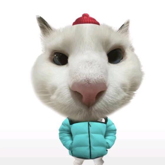 开心的白色被子