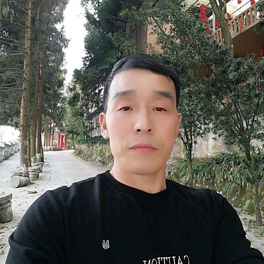 秦哥