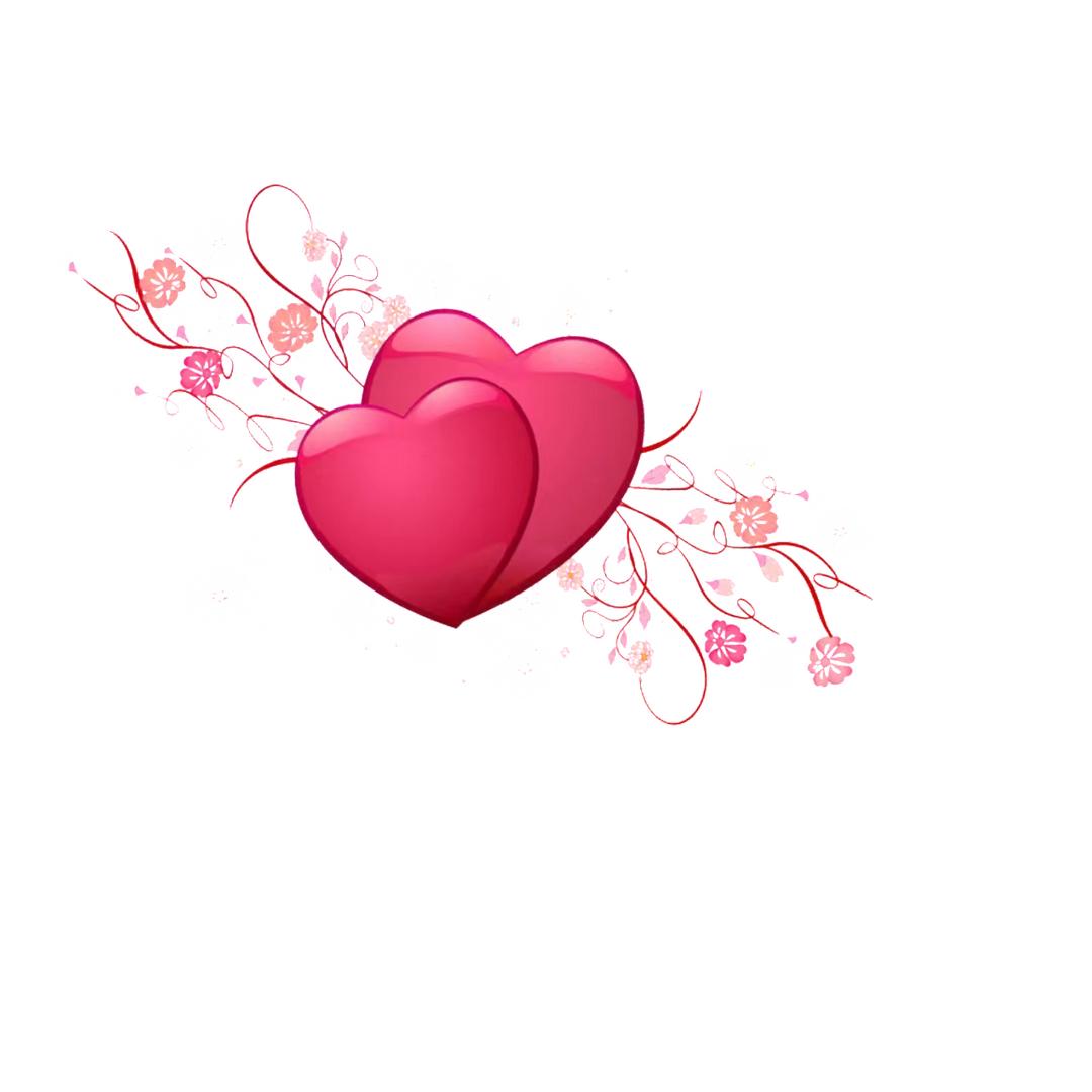 ハ条、🌷