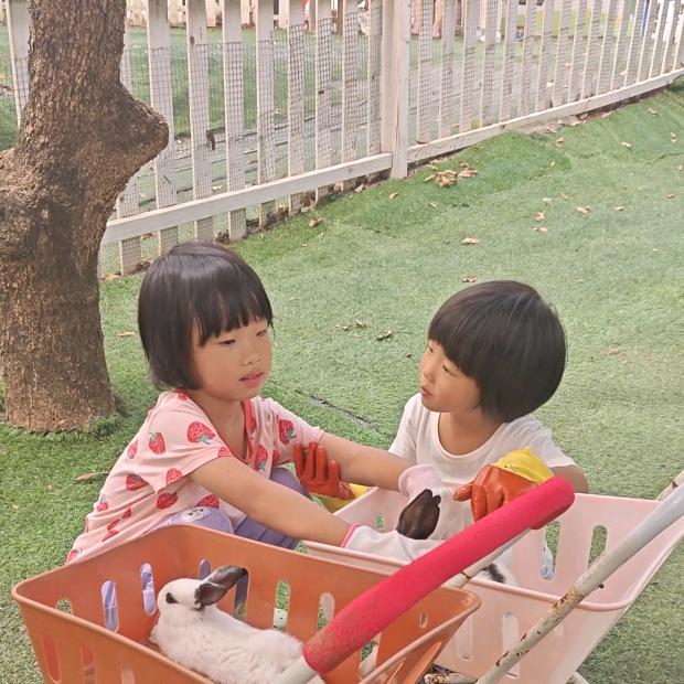 如柠妈妈