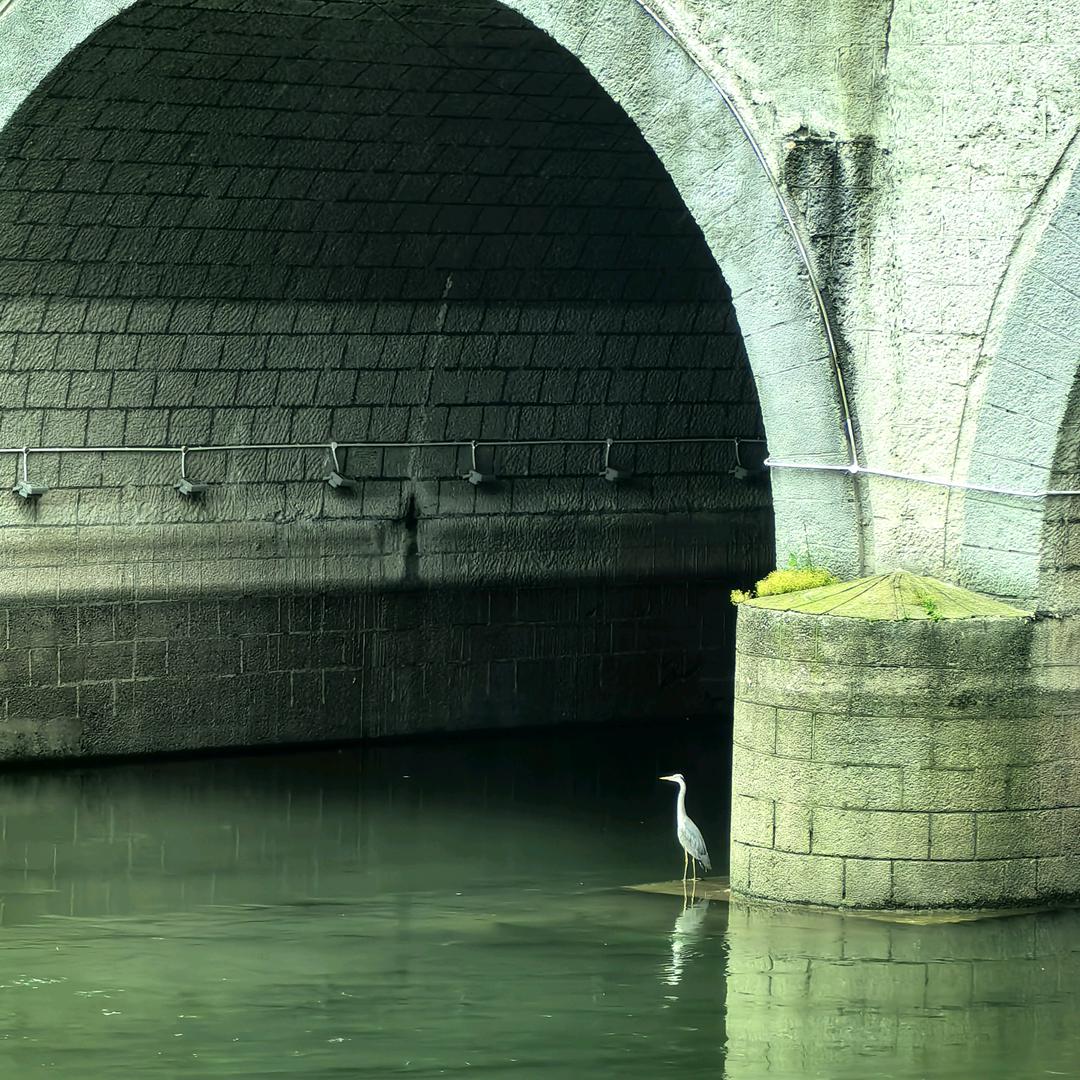 烽烽火火创九州的Ren