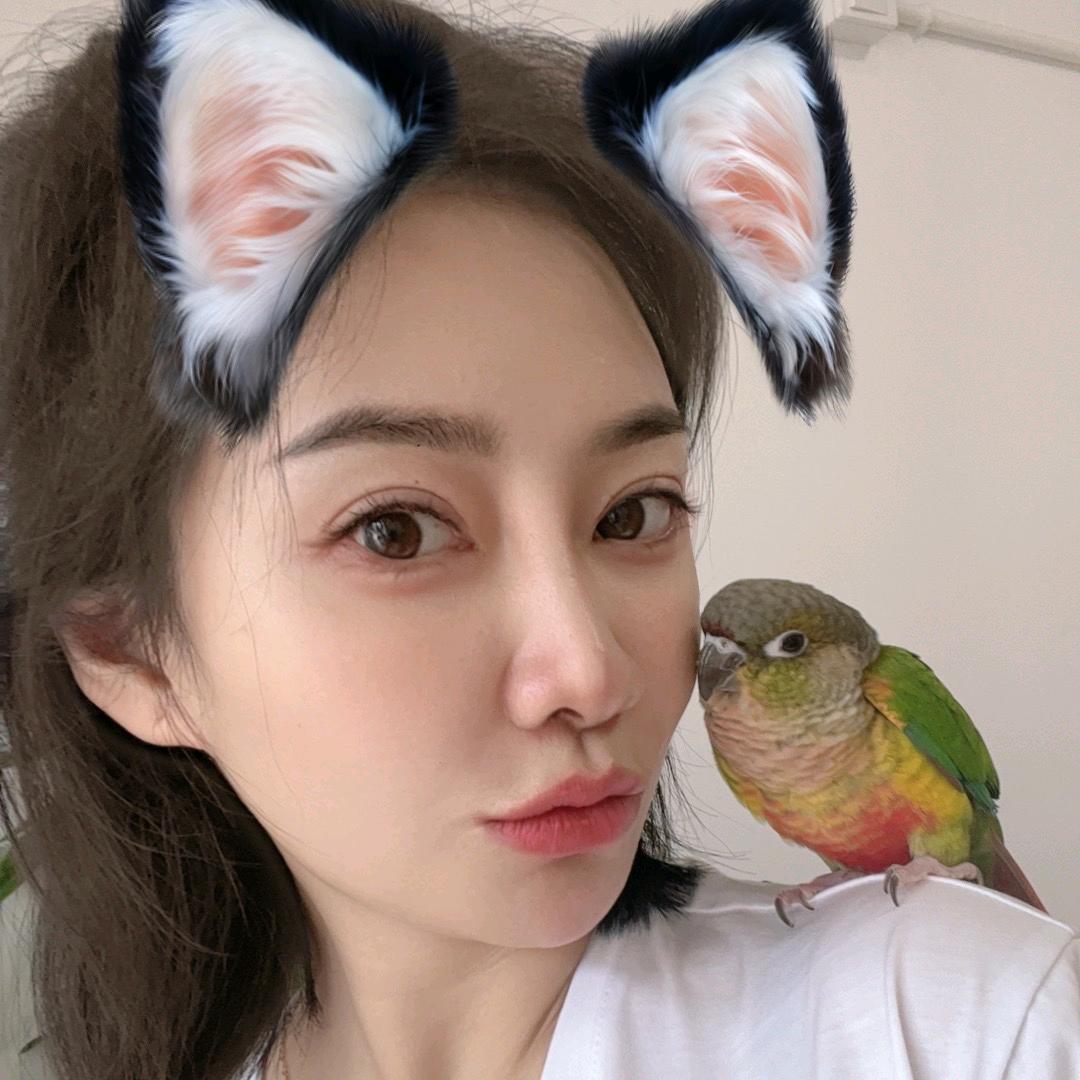 霜儿未来美学