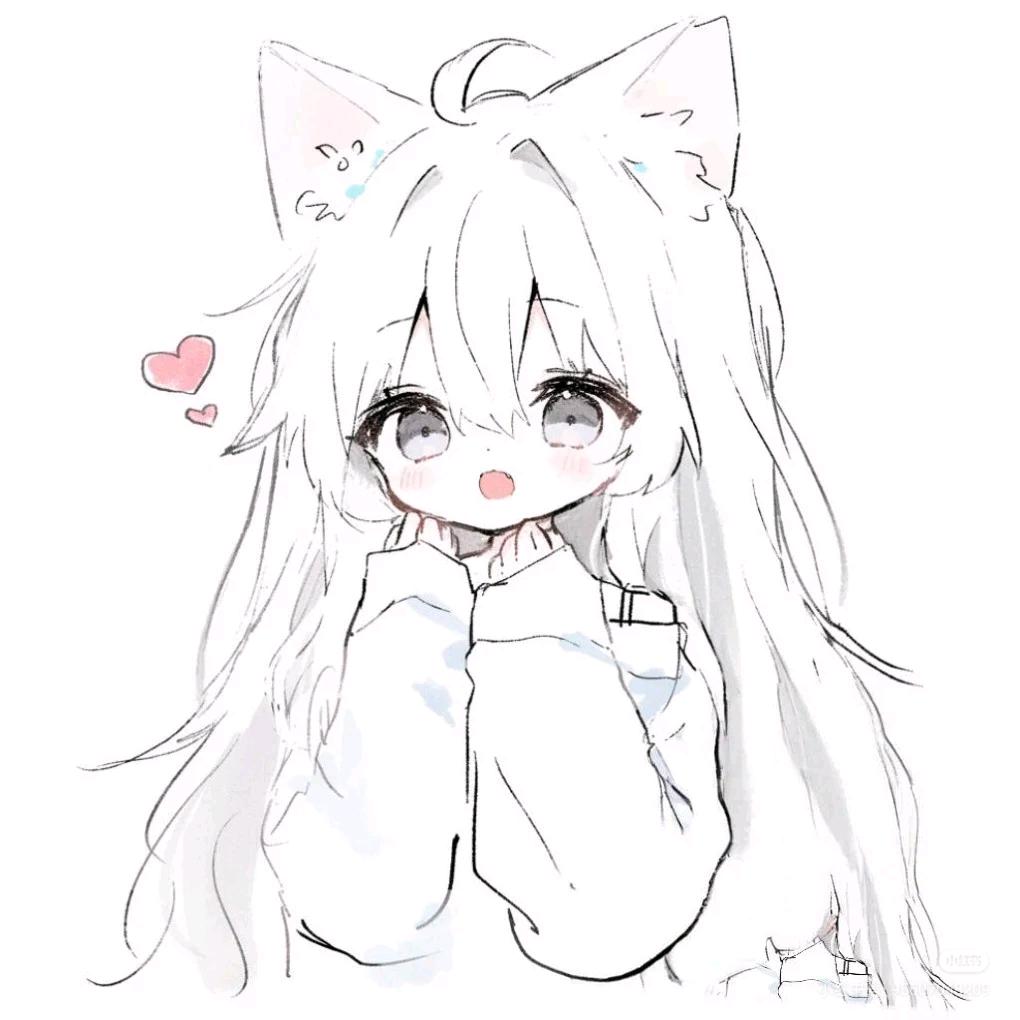 猫猫小趴菜