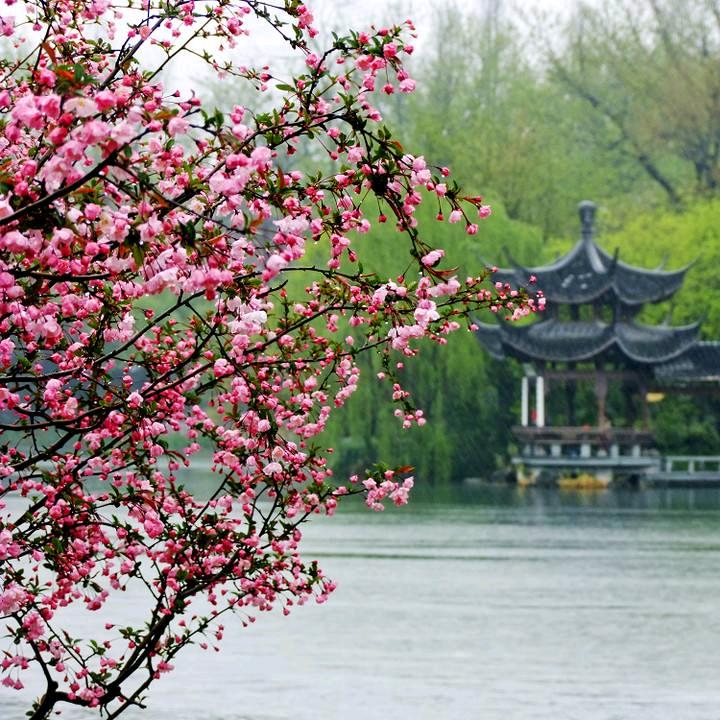 小小小佳怡